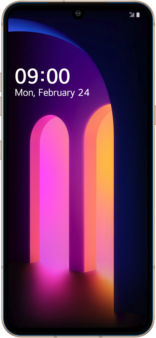 LG V60