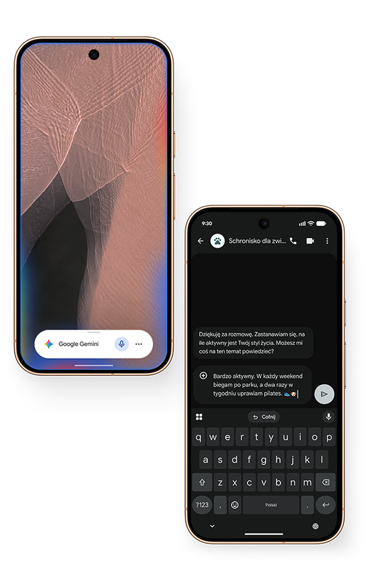 Zdjęcie telefonu Pixel z polem prompta Zapytaj Google Gemini.; Zdjęcie telefonu Pixel z wiadomością tekstową od Animal Rescue