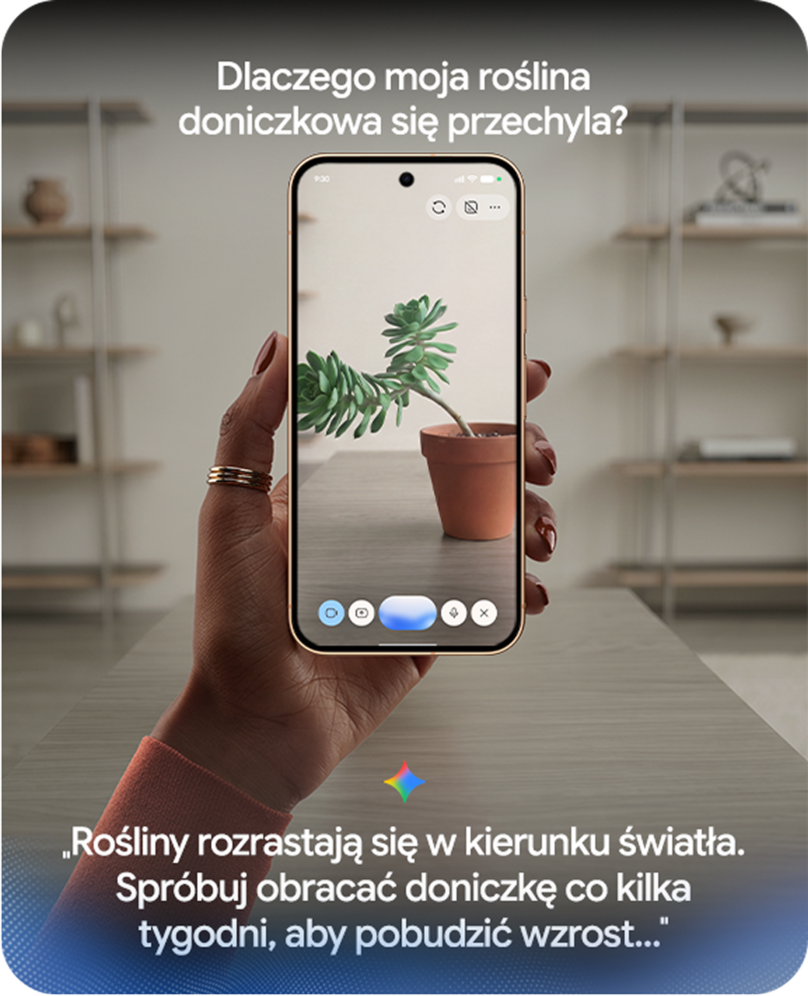 Zdjęcie dłoni trzymającej smartfon Google Pixel 11 Pro z widoczną na ekranie rośliną doniczkową.