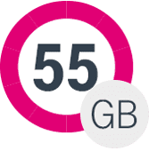 55 GB